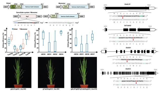 03087bf40ad162d9397694cb6a9db5e48b13cd1c.jpeg 03087bf40ad162d9397694cb6a9db5e48b13cd1c.jpeg